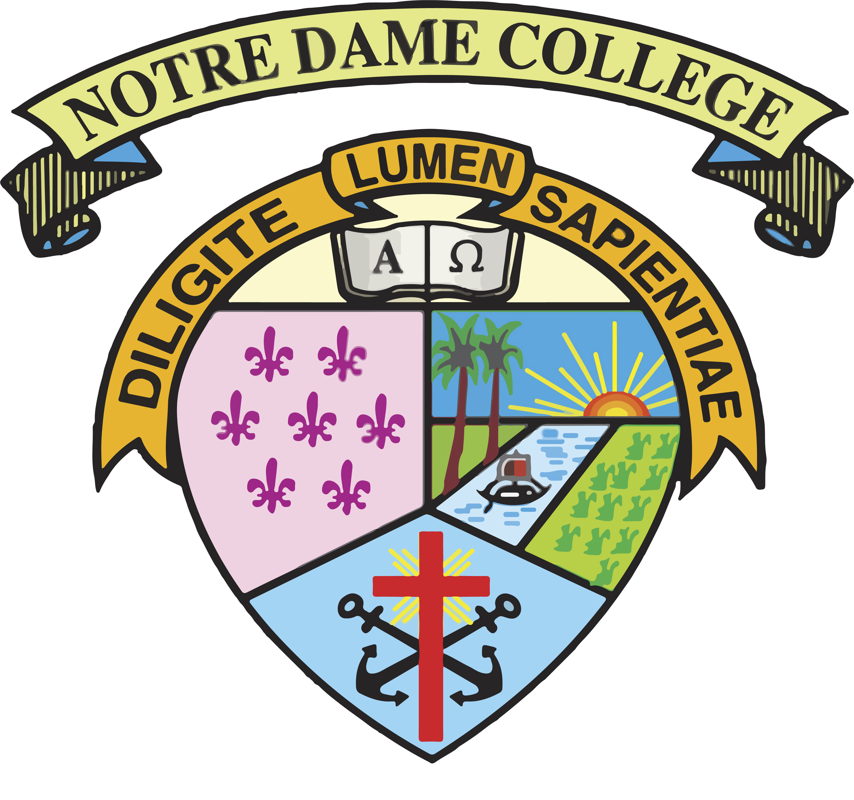 NDC Logo